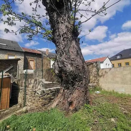 La Cascade Verte /appartement /jardin /parking Apartment *