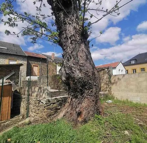 La Cascade Verte /appartement /jardin /parking Appartement *